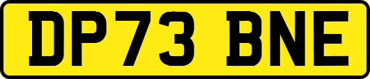 DP73BNE