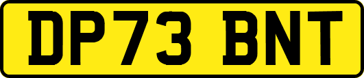 DP73BNT