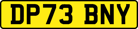 DP73BNY