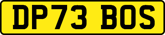 DP73BOS