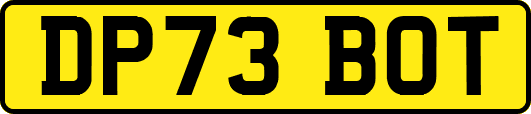 DP73BOT