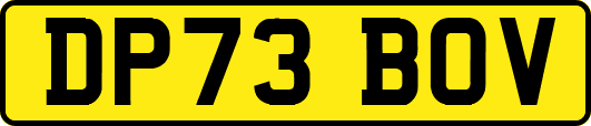 DP73BOV