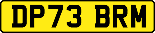 DP73BRM