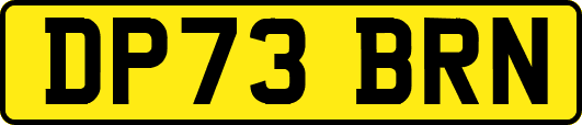 DP73BRN