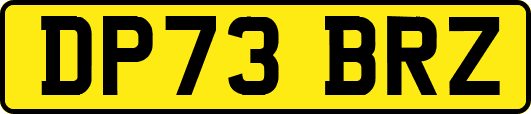 DP73BRZ