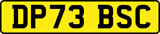 DP73BSC