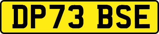DP73BSE