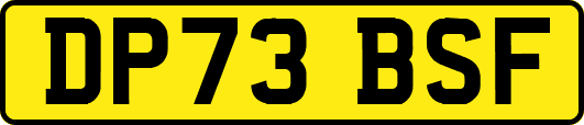 DP73BSF