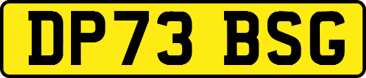 DP73BSG