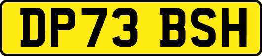 DP73BSH