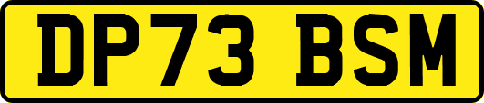 DP73BSM