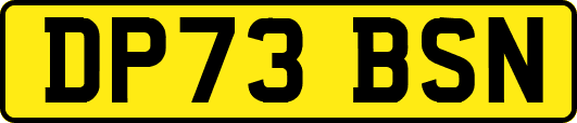 DP73BSN