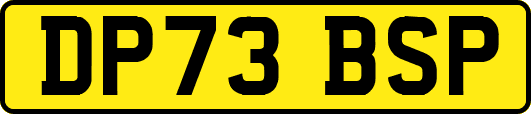 DP73BSP