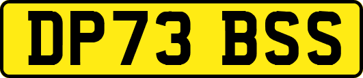 DP73BSS