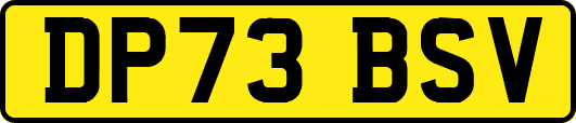 DP73BSV