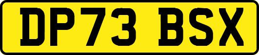 DP73BSX