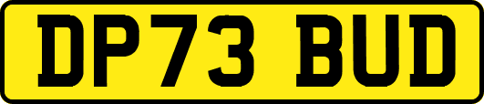 DP73BUD