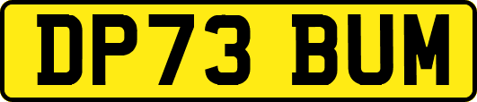 DP73BUM