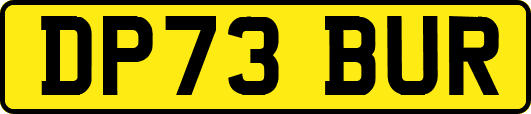 DP73BUR