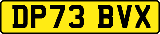 DP73BVX