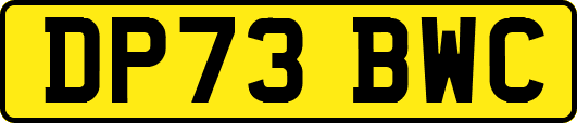 DP73BWC