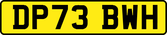 DP73BWH
