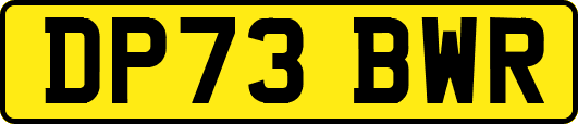 DP73BWR