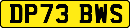 DP73BWS