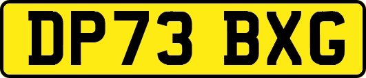 DP73BXG