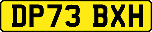DP73BXH