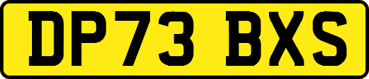 DP73BXS
