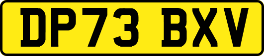 DP73BXV