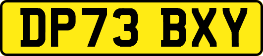 DP73BXY