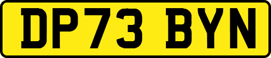 DP73BYN