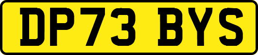 DP73BYS