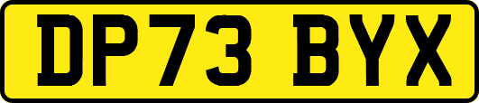 DP73BYX