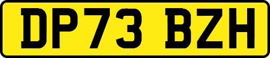 DP73BZH