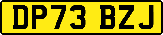 DP73BZJ