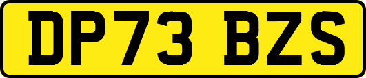 DP73BZS