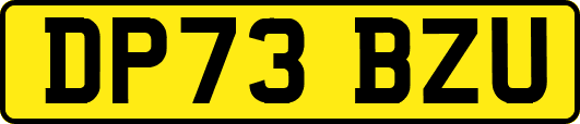 DP73BZU