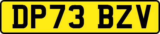 DP73BZV