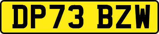 DP73BZW