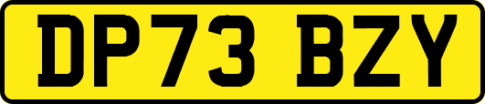 DP73BZY