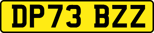 DP73BZZ