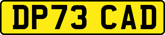 DP73CAD