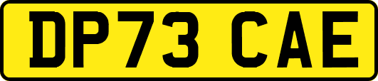 DP73CAE