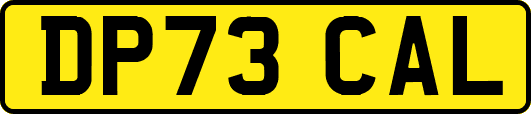 DP73CAL