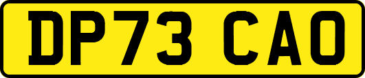 DP73CAO