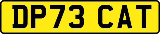 DP73CAT