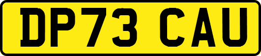 DP73CAU